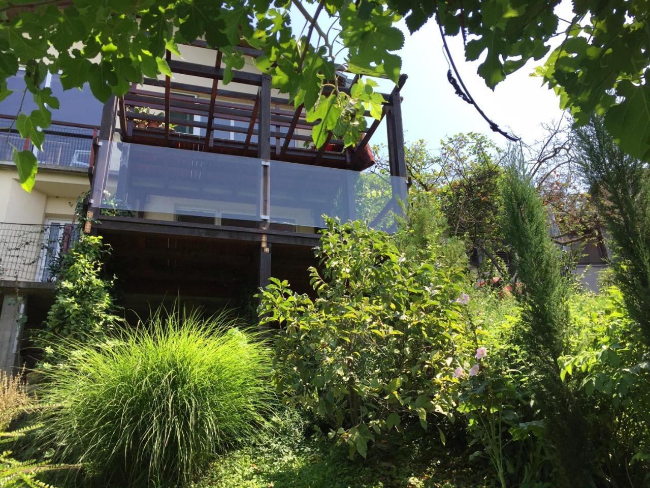 Pergola House In A Green Oasis With Fantastic View Apartment Петроварадин Екстериор снимка